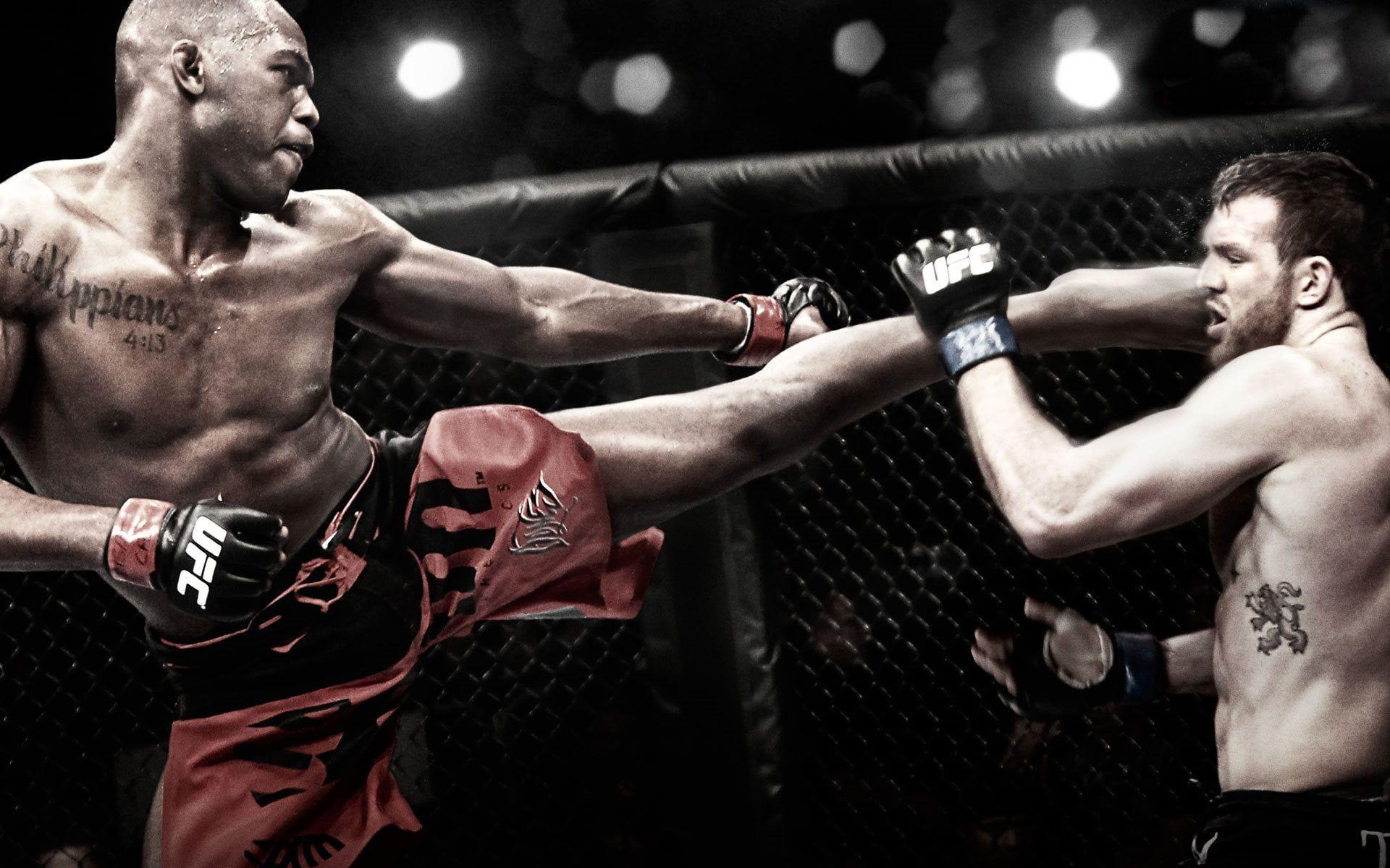 Two UFC fighter fighting HD wallpaper