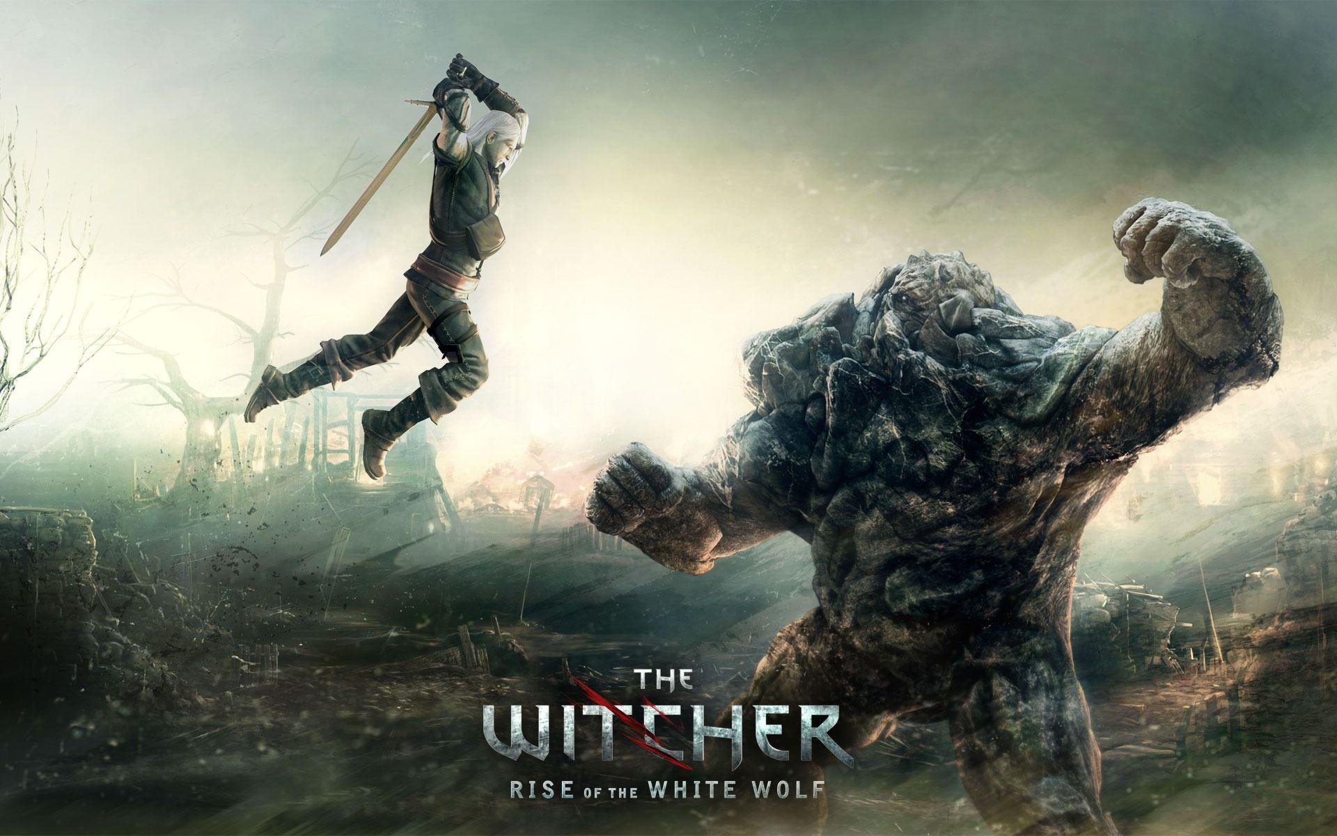Download The Witcher Rise of the White Wolf Wallpaper The Witcher