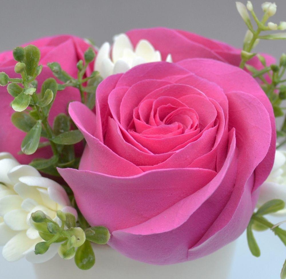 Perfect Pink Rose Flowers Nature Background Wallpaper