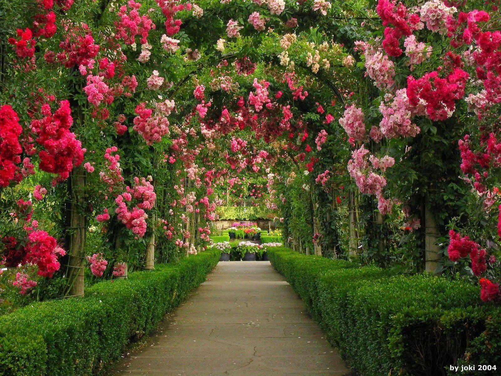 Arches in Rose Garden Wallpaper and Background Imagex1200