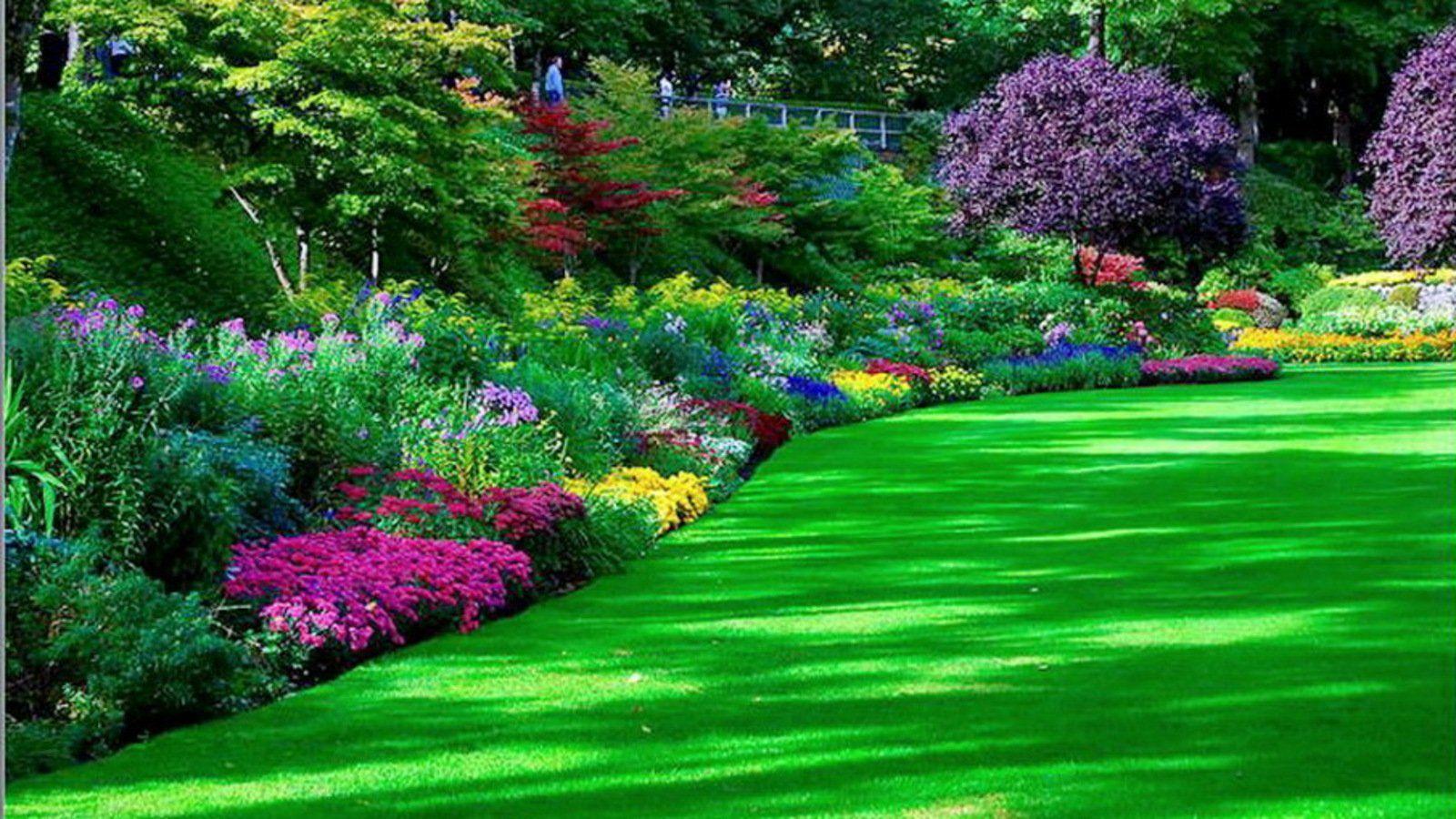 Enchanting Gardens  Güzel bahçeler Peyzaj düzenlemesi fikirleri Bahçe  tasarımı