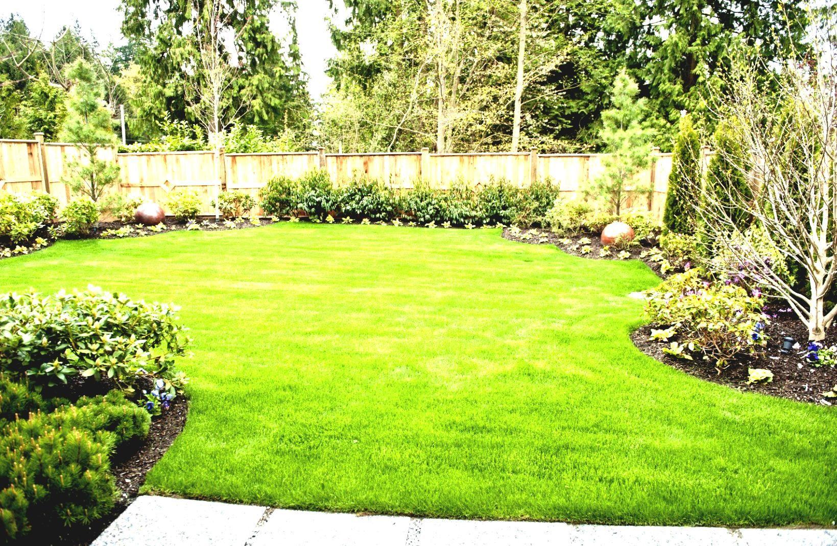 Exciting Simple Backyard Gardens