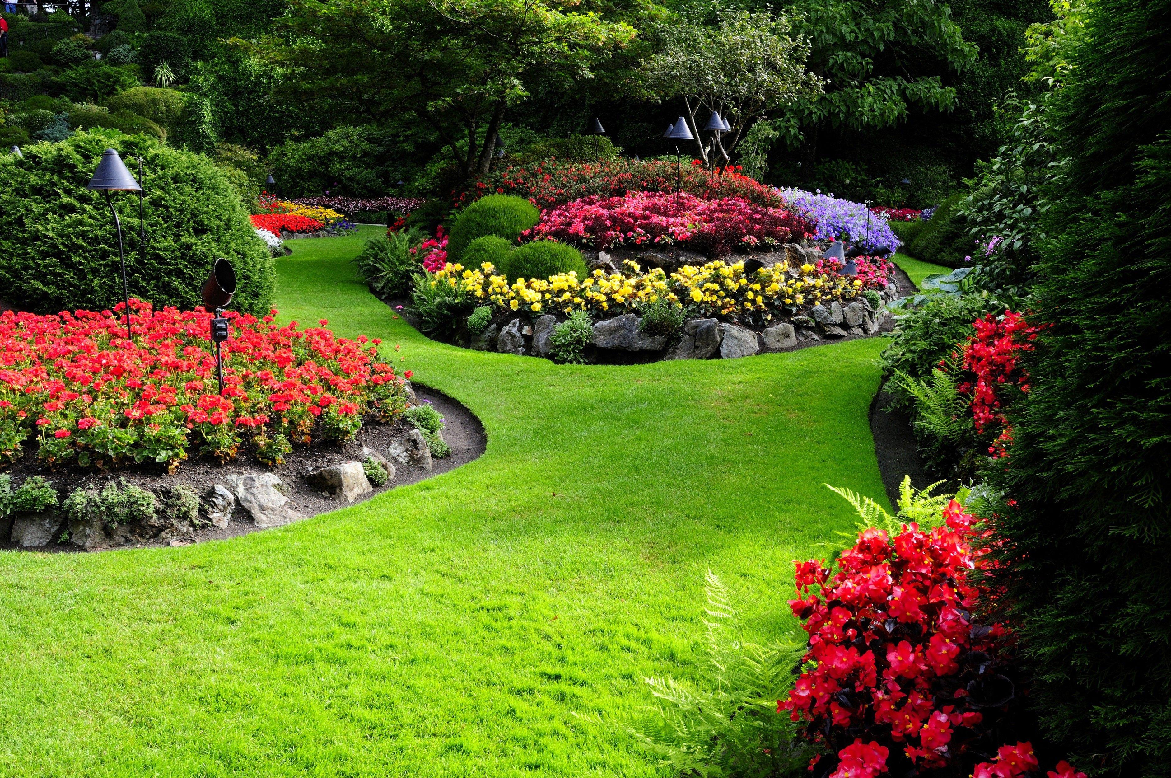Colourful Flower Garden Wallpaper and Background Stock Image  Image of  colorful garden 220873407