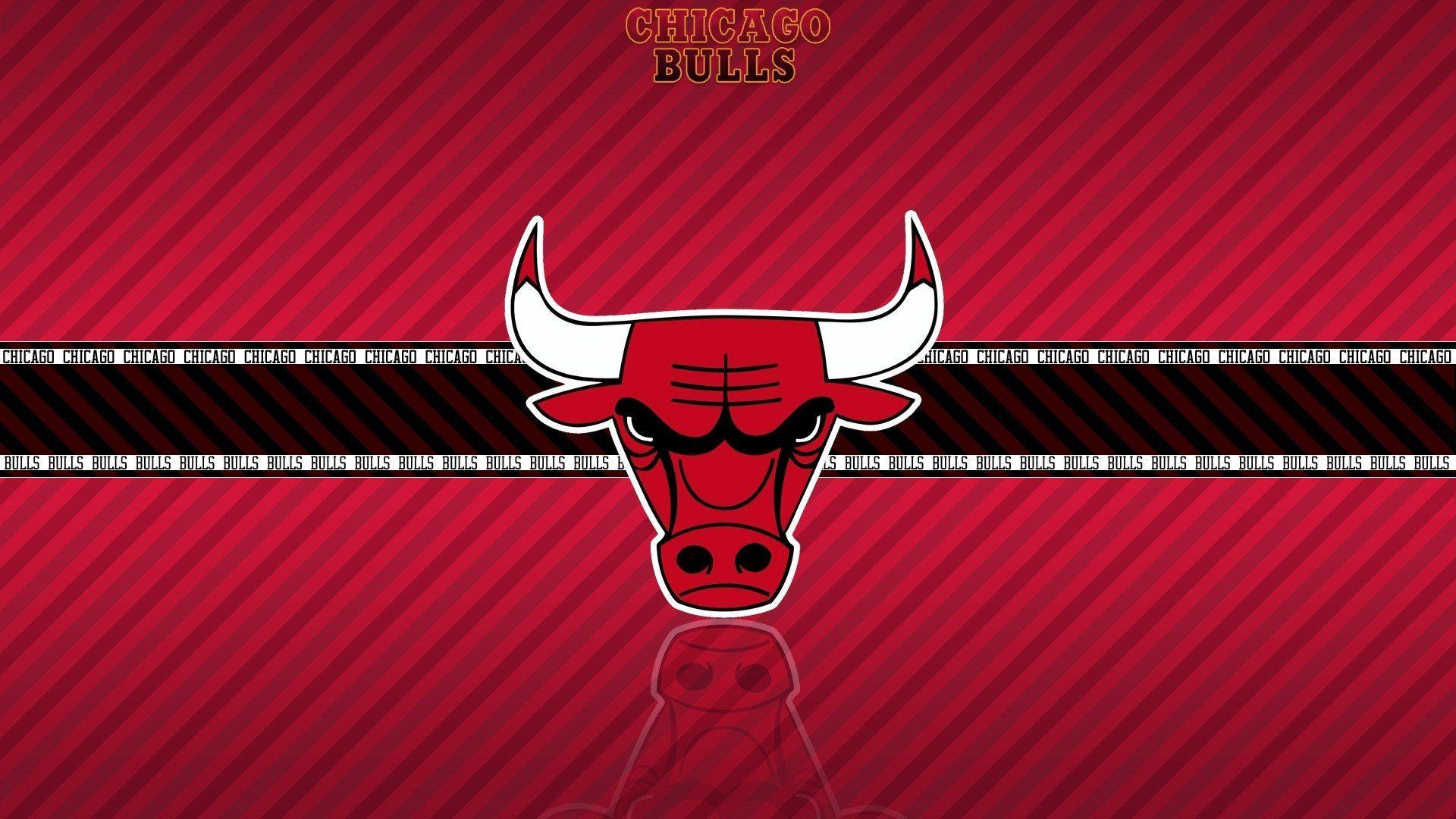 Chicago Bulls Full HD Wallpaper and Background Imagex1080