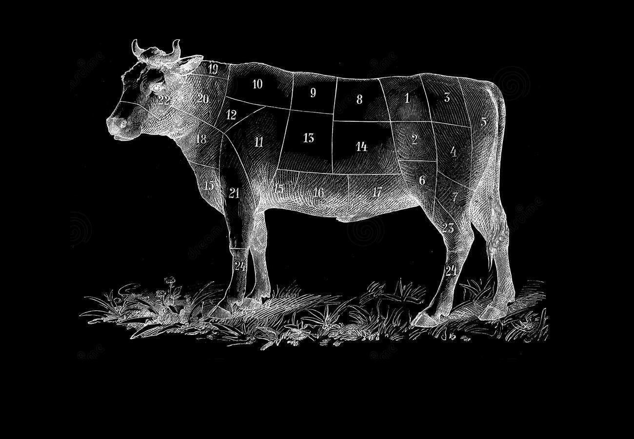 adobe photohop black background of image to a color