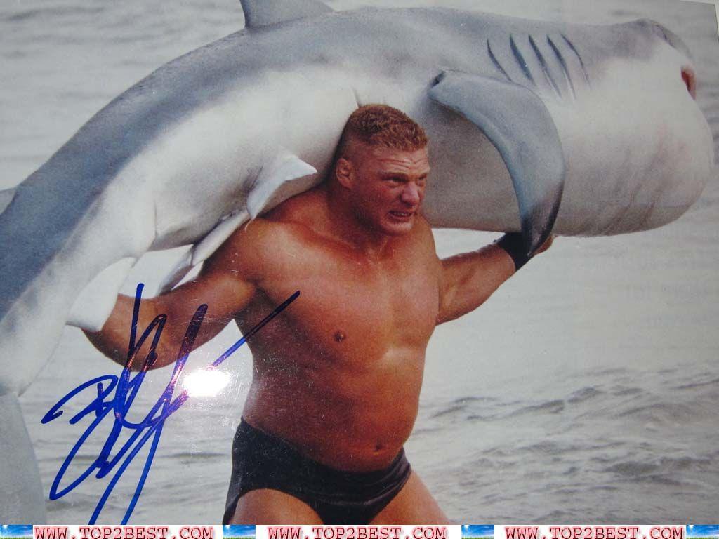 Brock Lesnar F5 Shark
