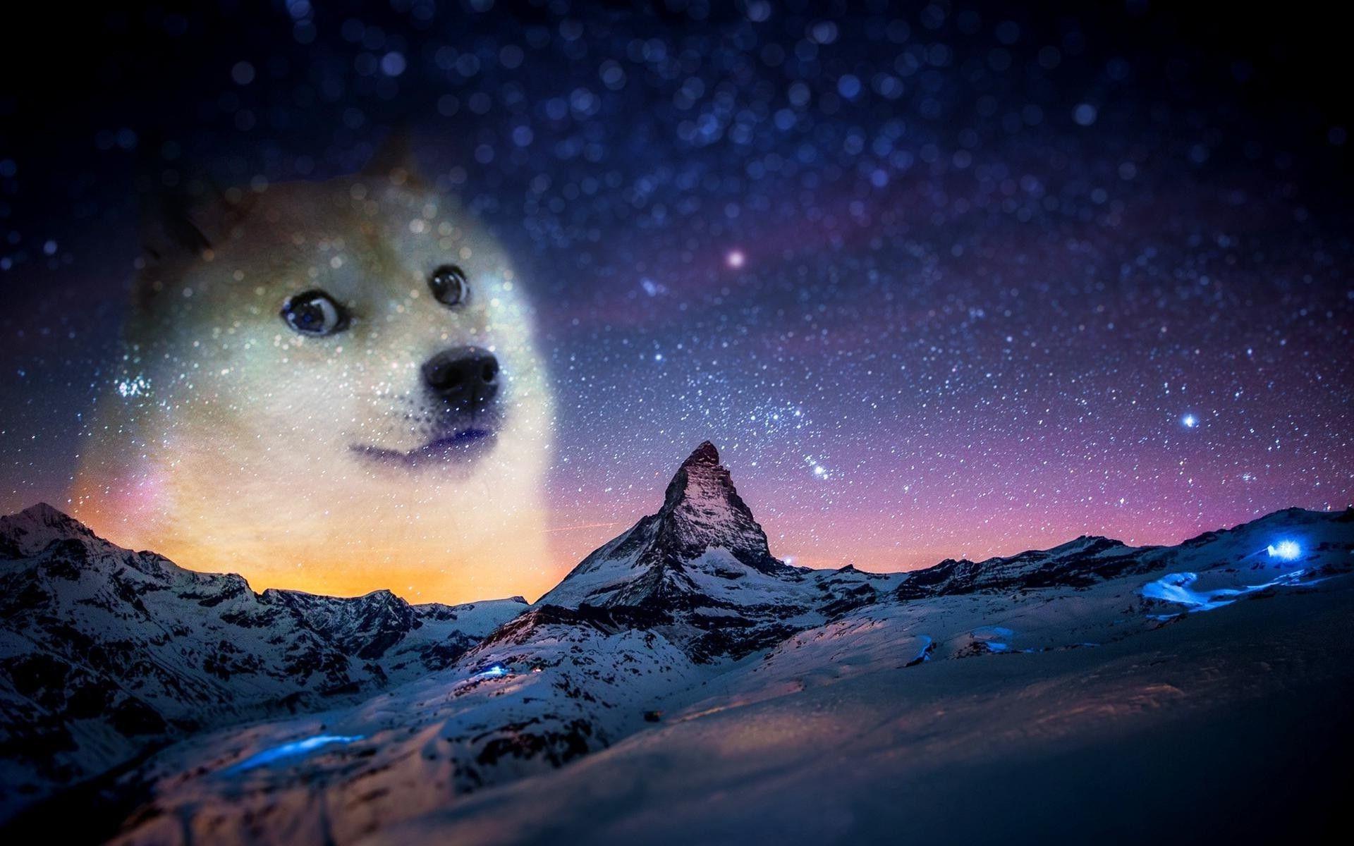 Wallpaper, animals, night, snow, memes, doge, Arctic, astronomy