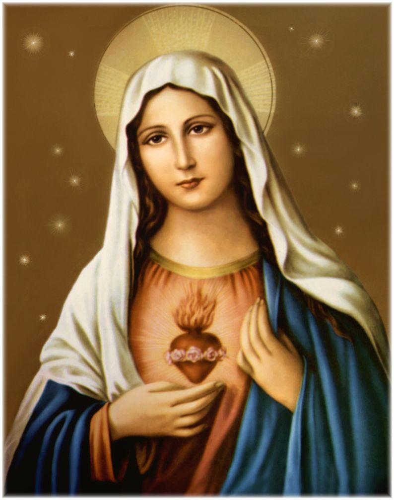 Sacred Heart of Blessed Virgin Mary « Nelson MCBS