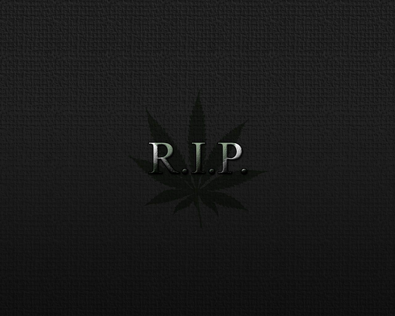 Best Rip Wallpaper in High Quality, Rip Background