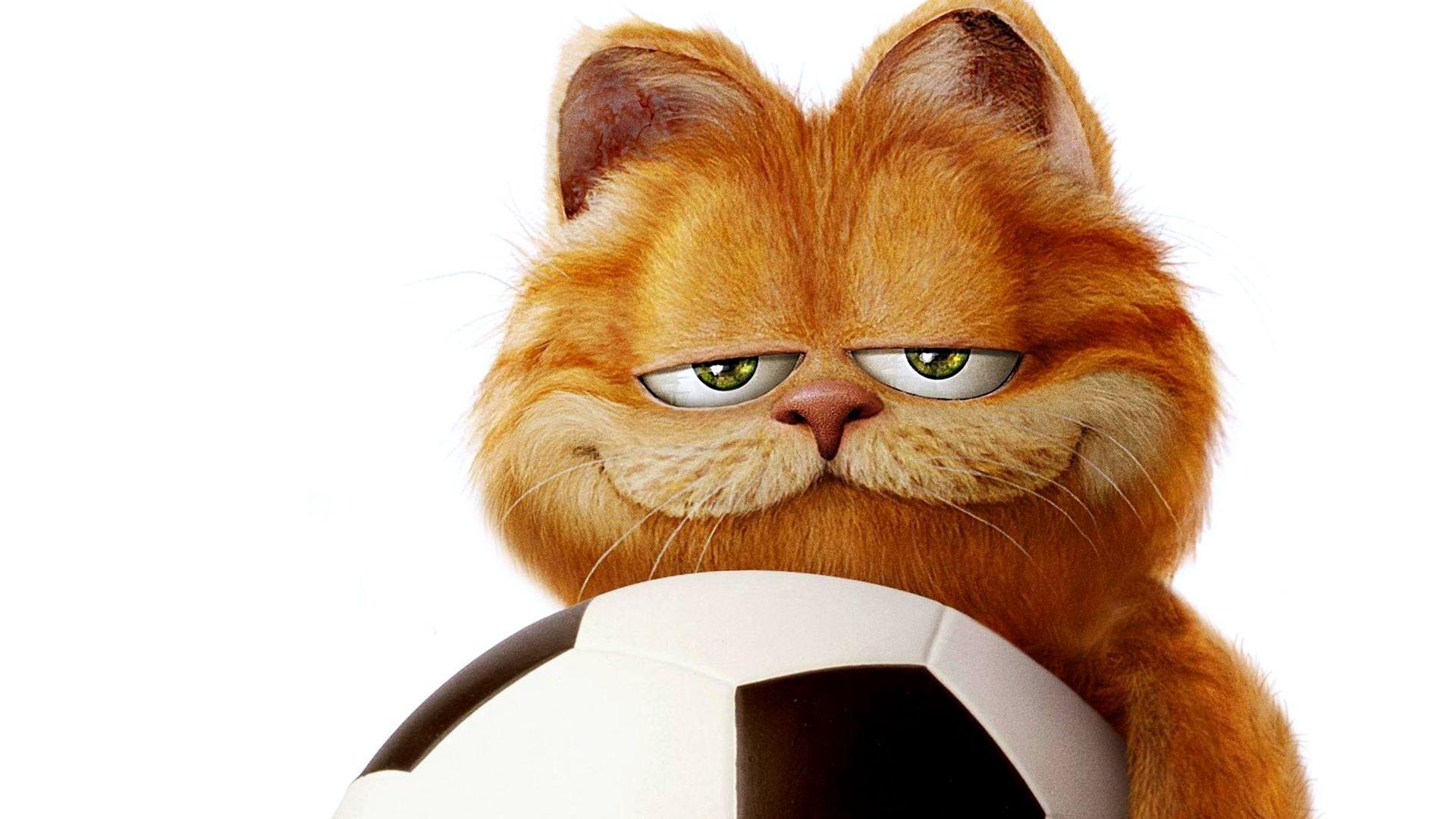 Funny Garfield Desktop Wallpaper HD / Desktop and Mobile Background