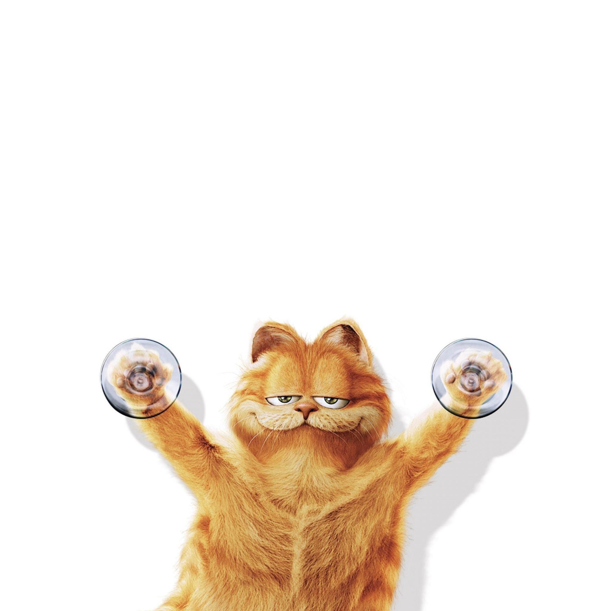Fun Humor And Lazy But Kind Cat Garfield IPhone HD