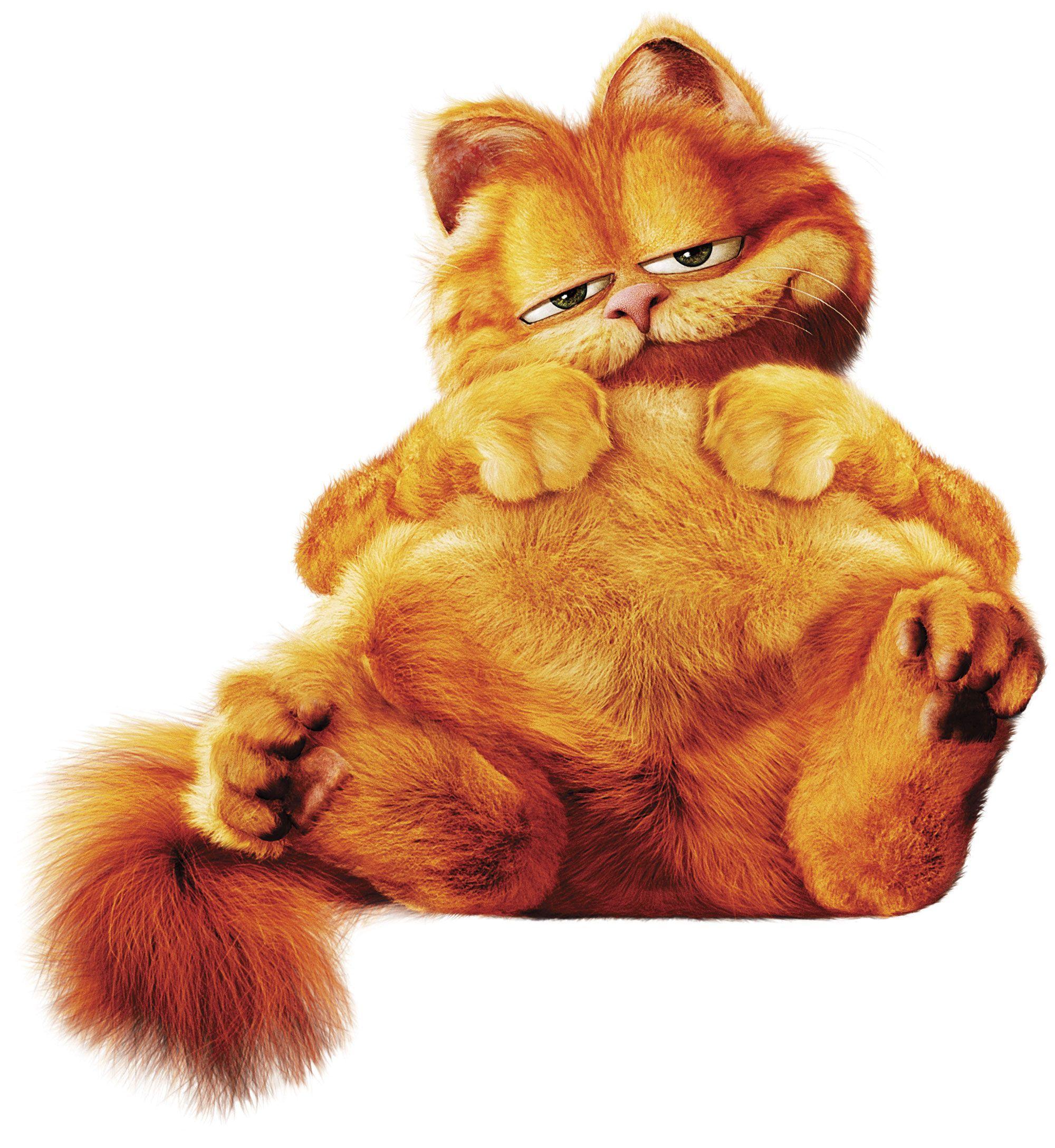 Garfield ideas. garfield, garfield cartoon, garfield wallpaper