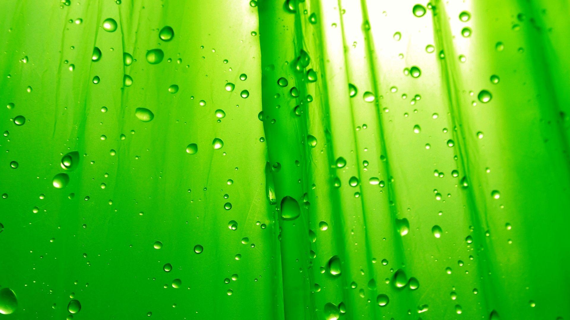 Desktop Free HD Wallpaper Nature 1920x1080 Dowload