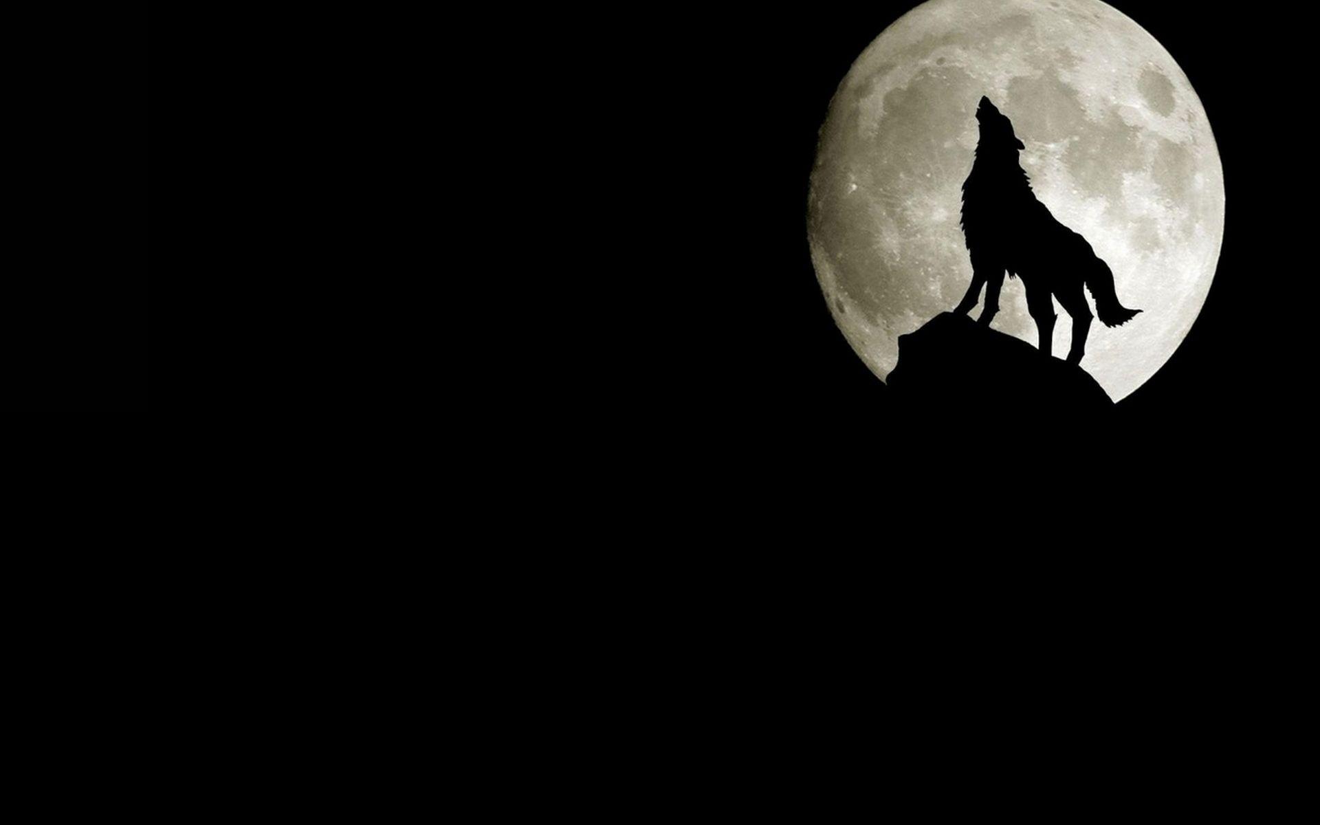 Wolf Howling At Full Moon Desktop Wallpaper