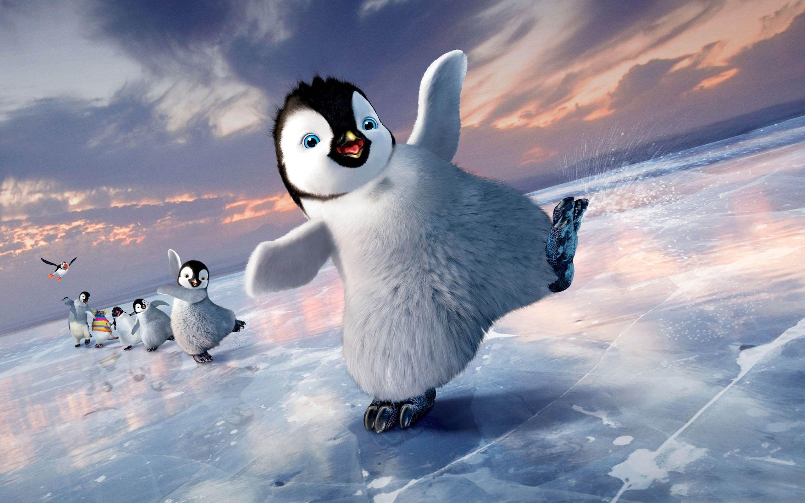Free Penguin Wallpaper 1080p