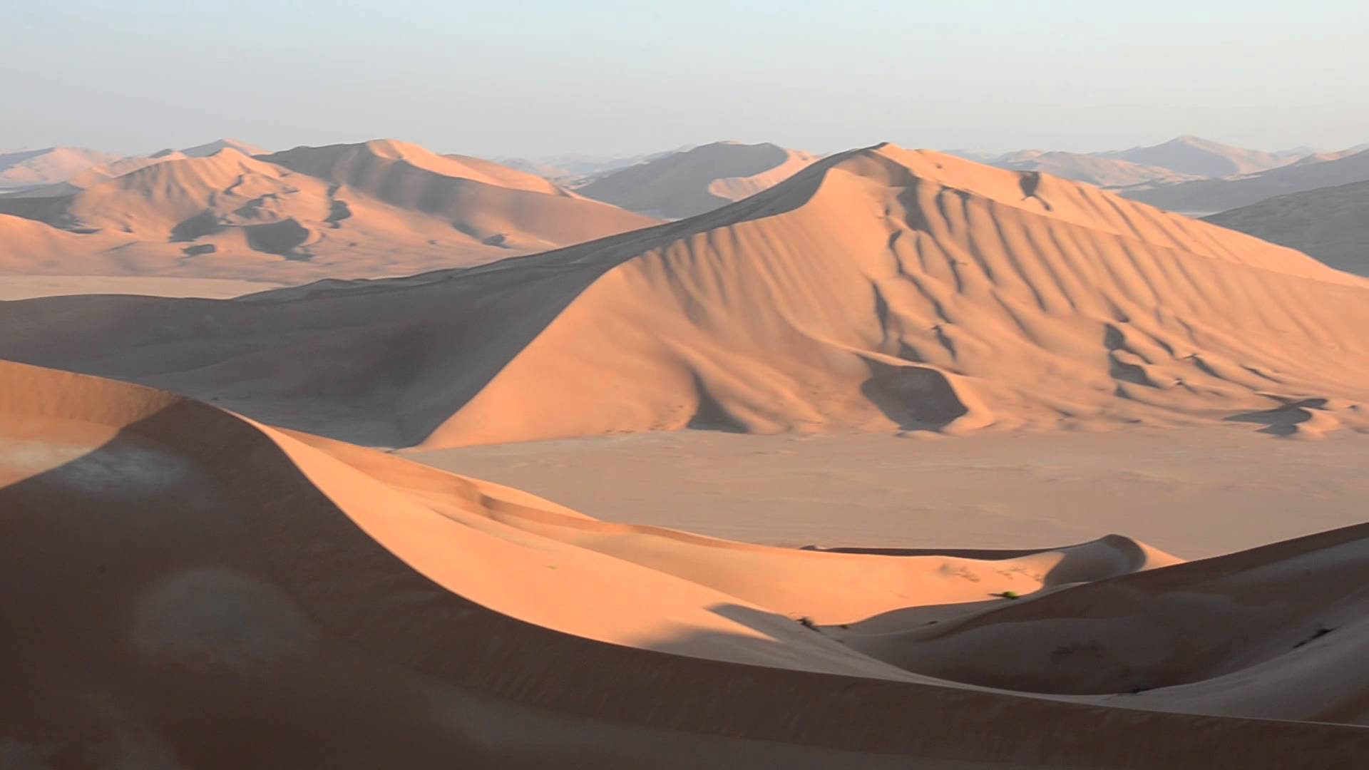 OMAN: deserto del Rub Al Khali sul deserto