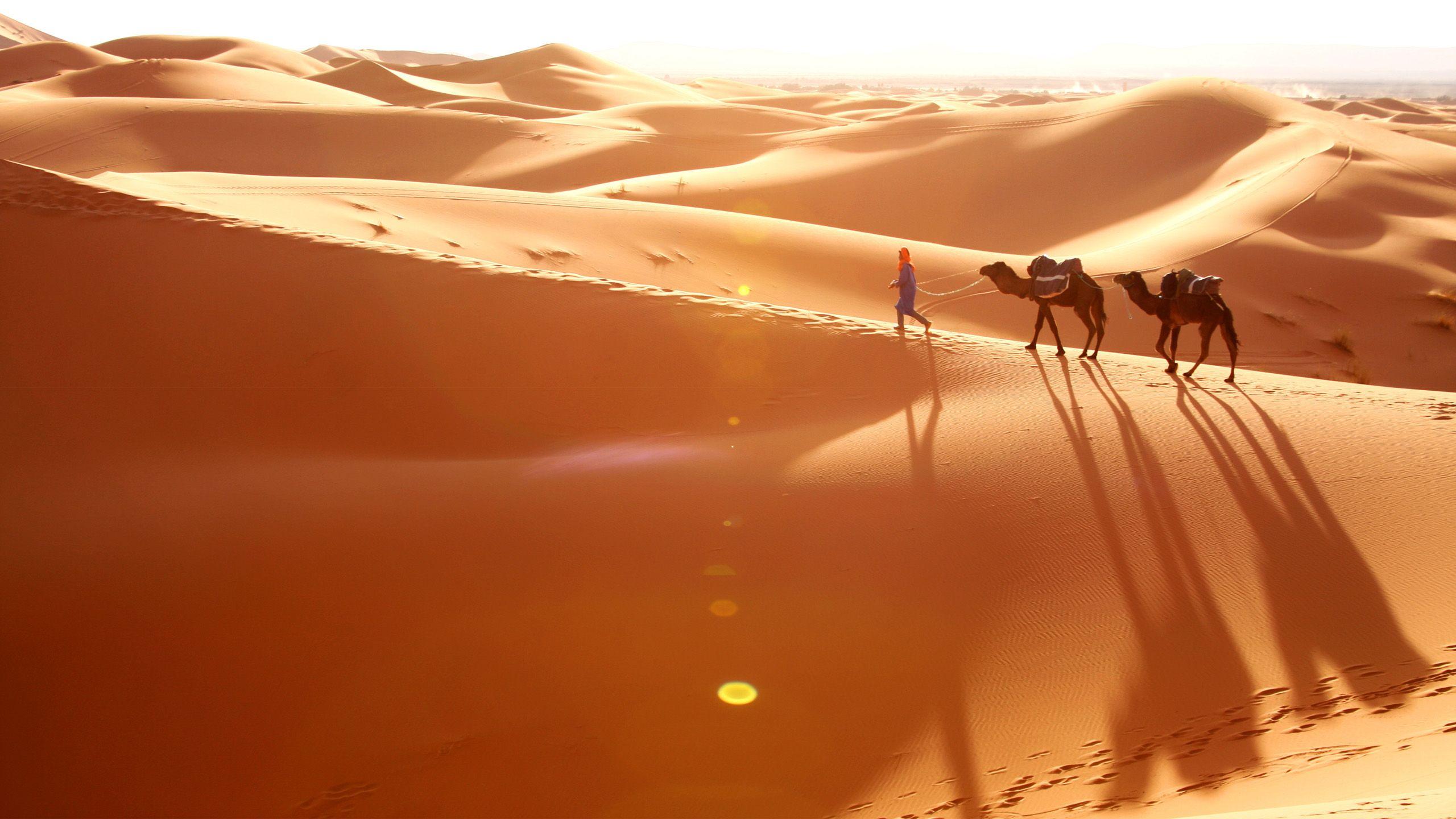 Саудовская аравия песок. Бедуины Саудовской Аравии. Барханы Оазис Саудовская Аравия. Пустыня Каракум Оазис. Барханы в Абу Даби.