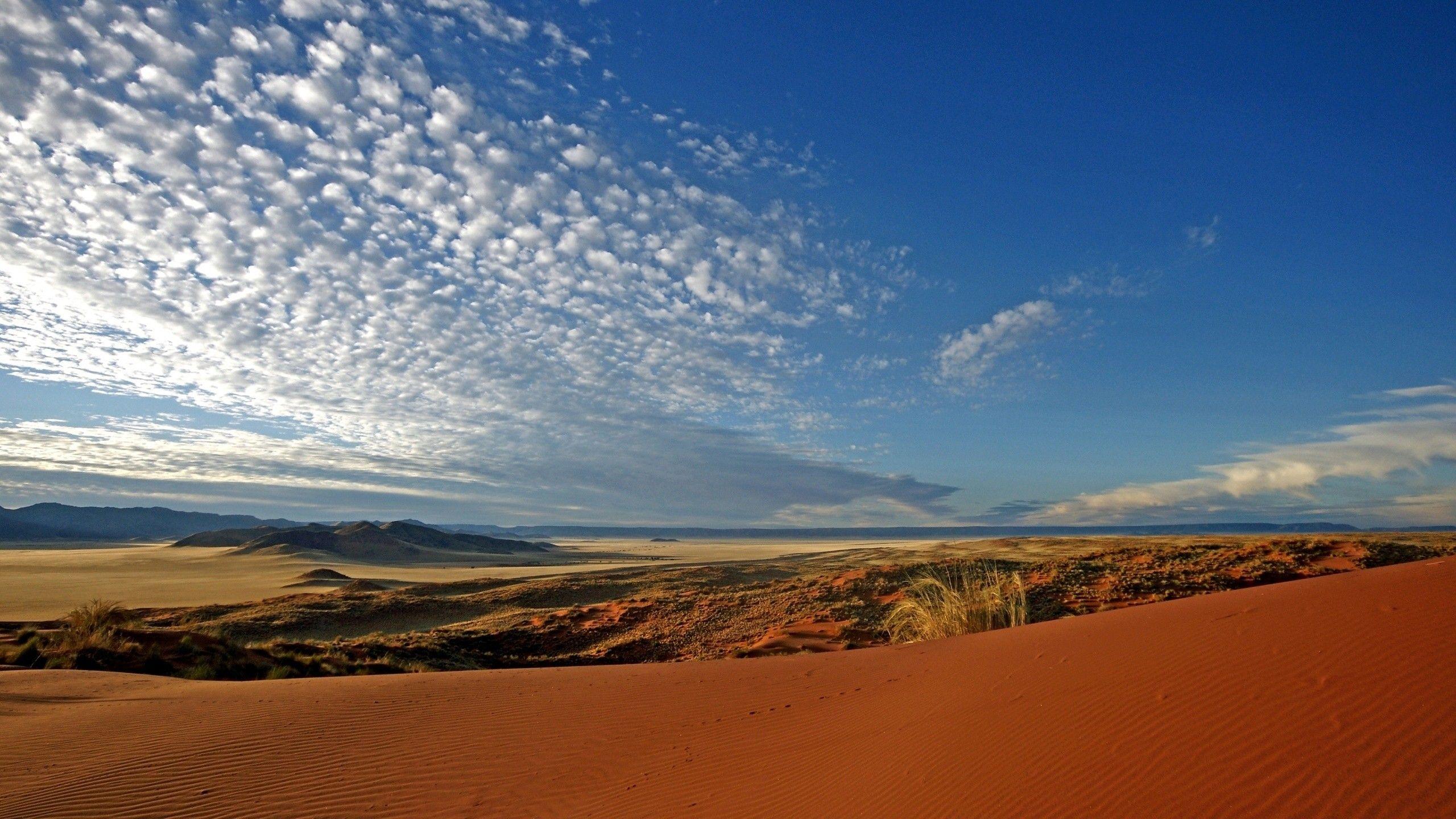 Landscape Rub Al Khali Desert United Arab Emirates Arabia Dune Sand