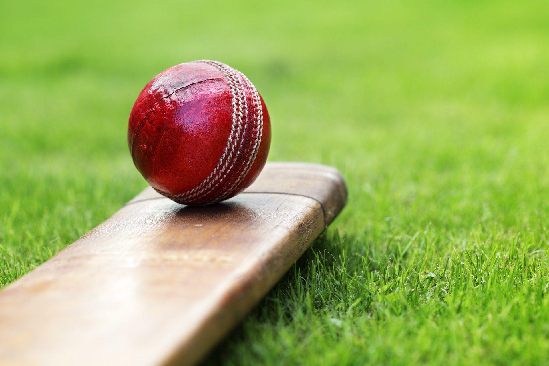 Cricket Ball And Bat Image