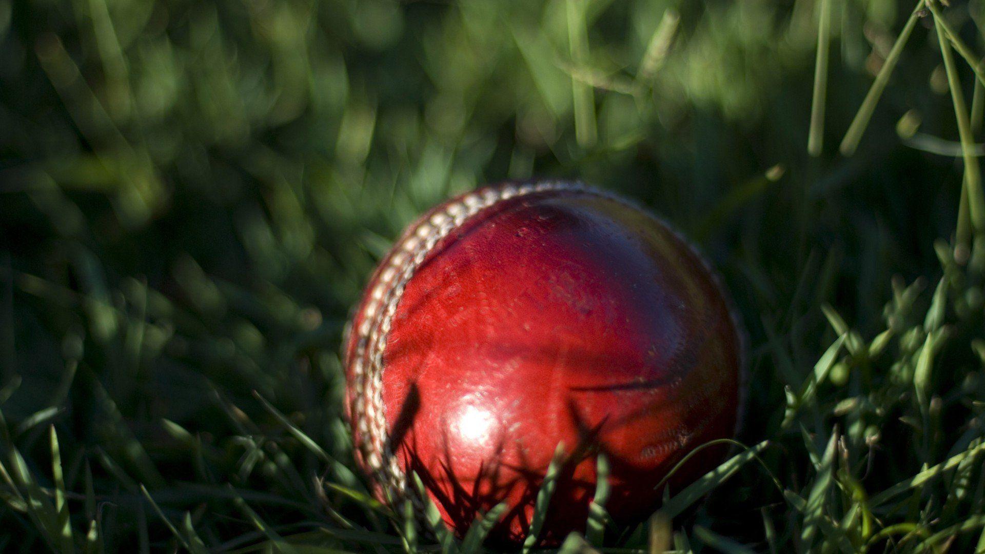 Cricket Ball 796886