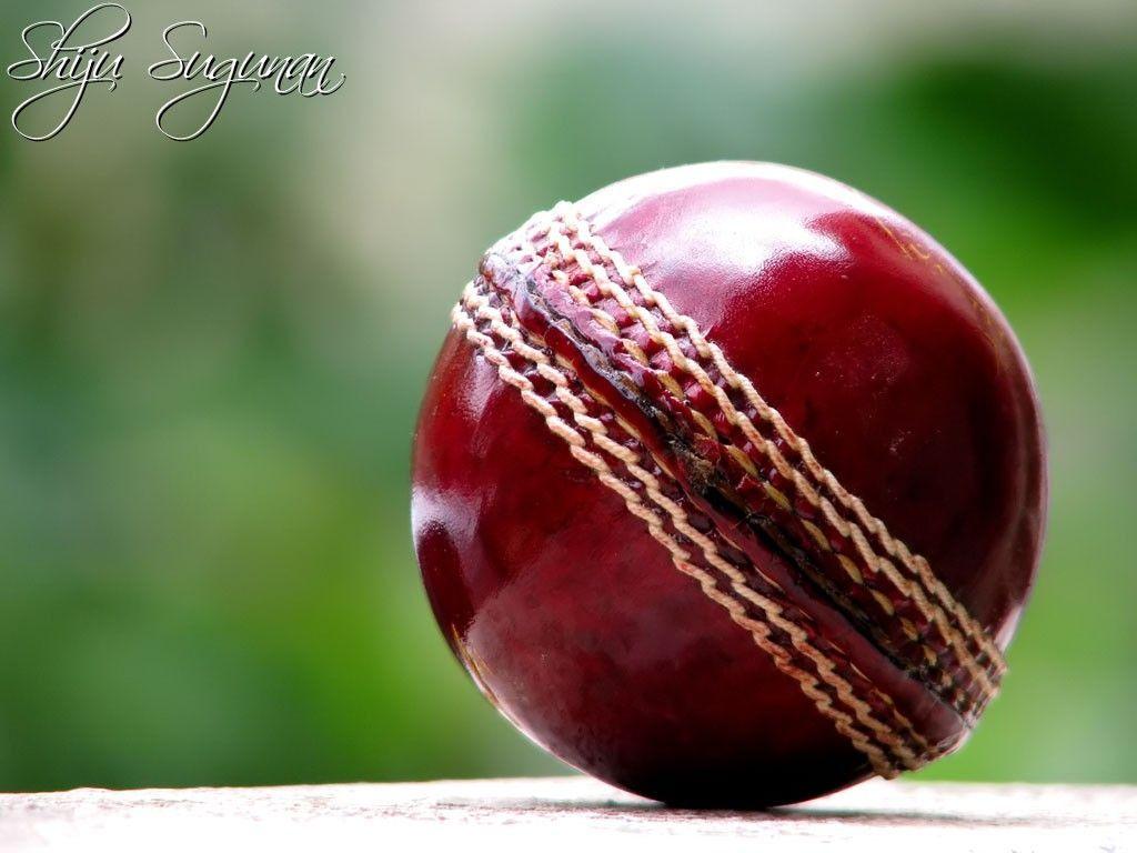 High Quality Creative Cricket Ball Picture