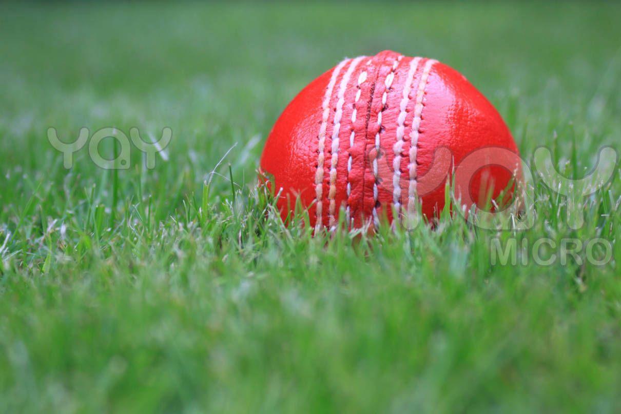 Cricket Ball HD Wallpaper