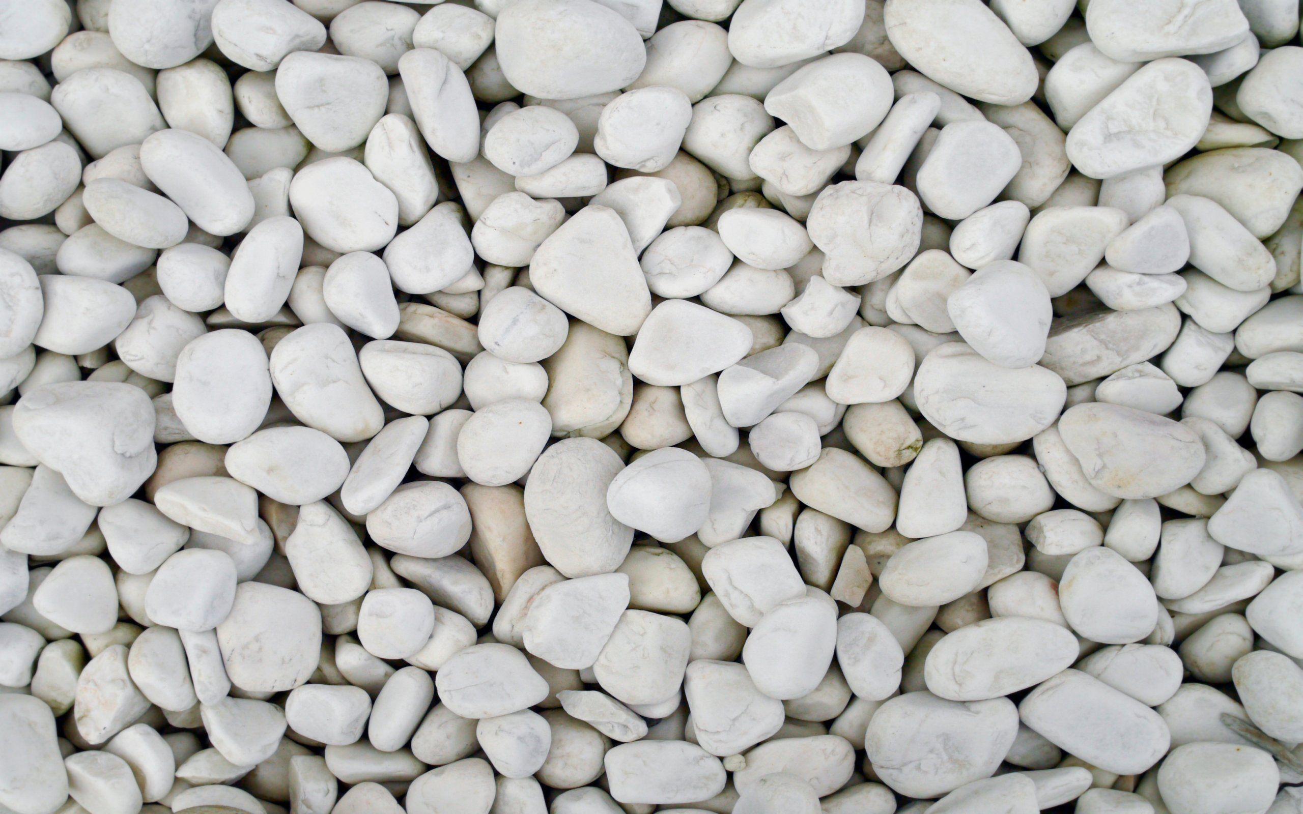Texture Pebbles White Stones Textures Wallpaper. Textures