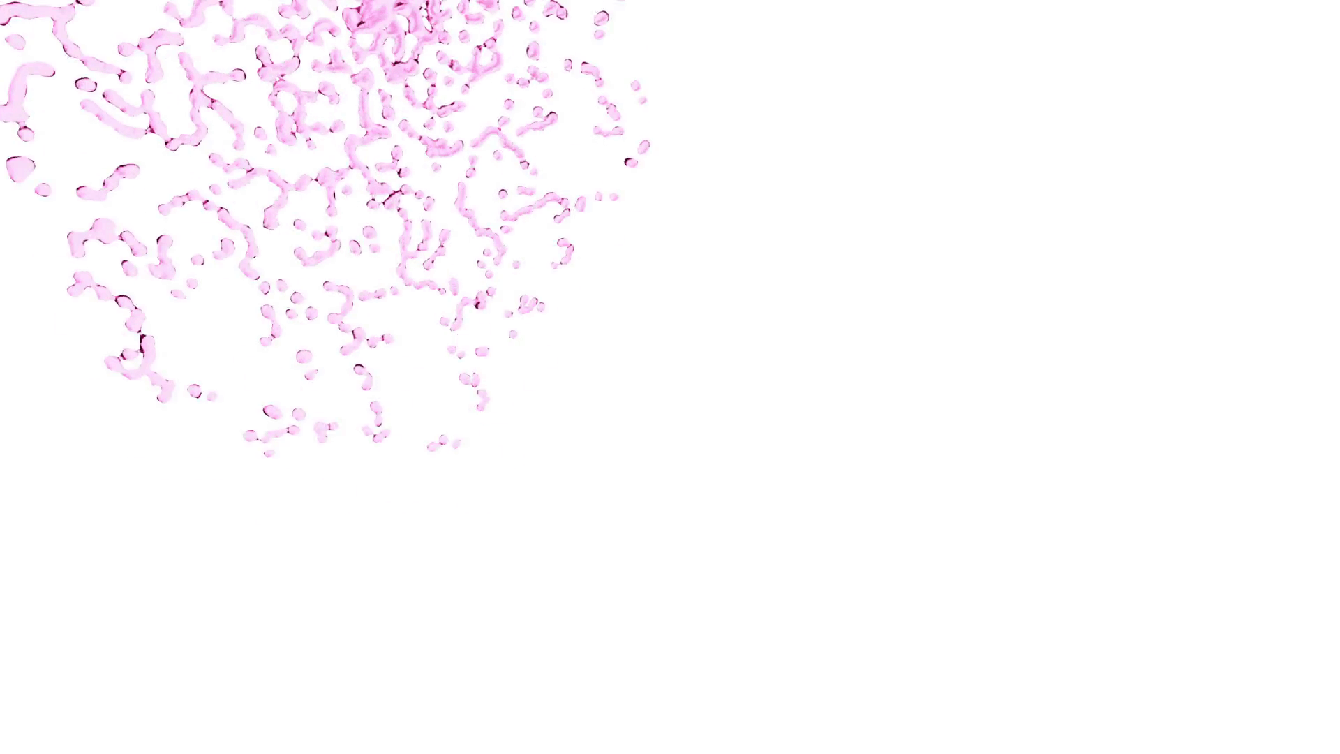 Beautiful Pink Purple Color Water Whirl in Tube on White Background