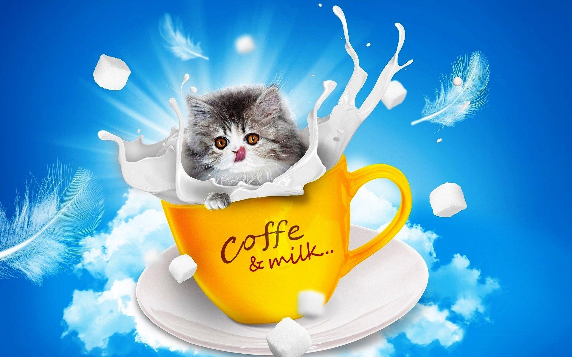 Good morning coffee funny wallpapers download