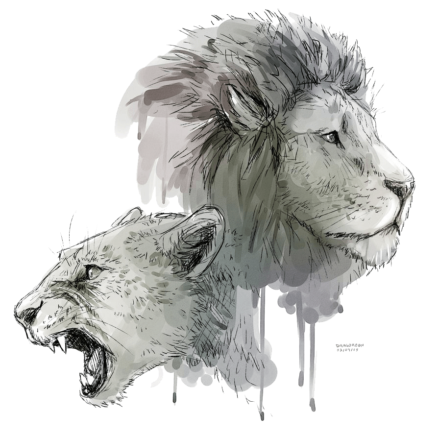 Lion PNG Image Transparent Free Download