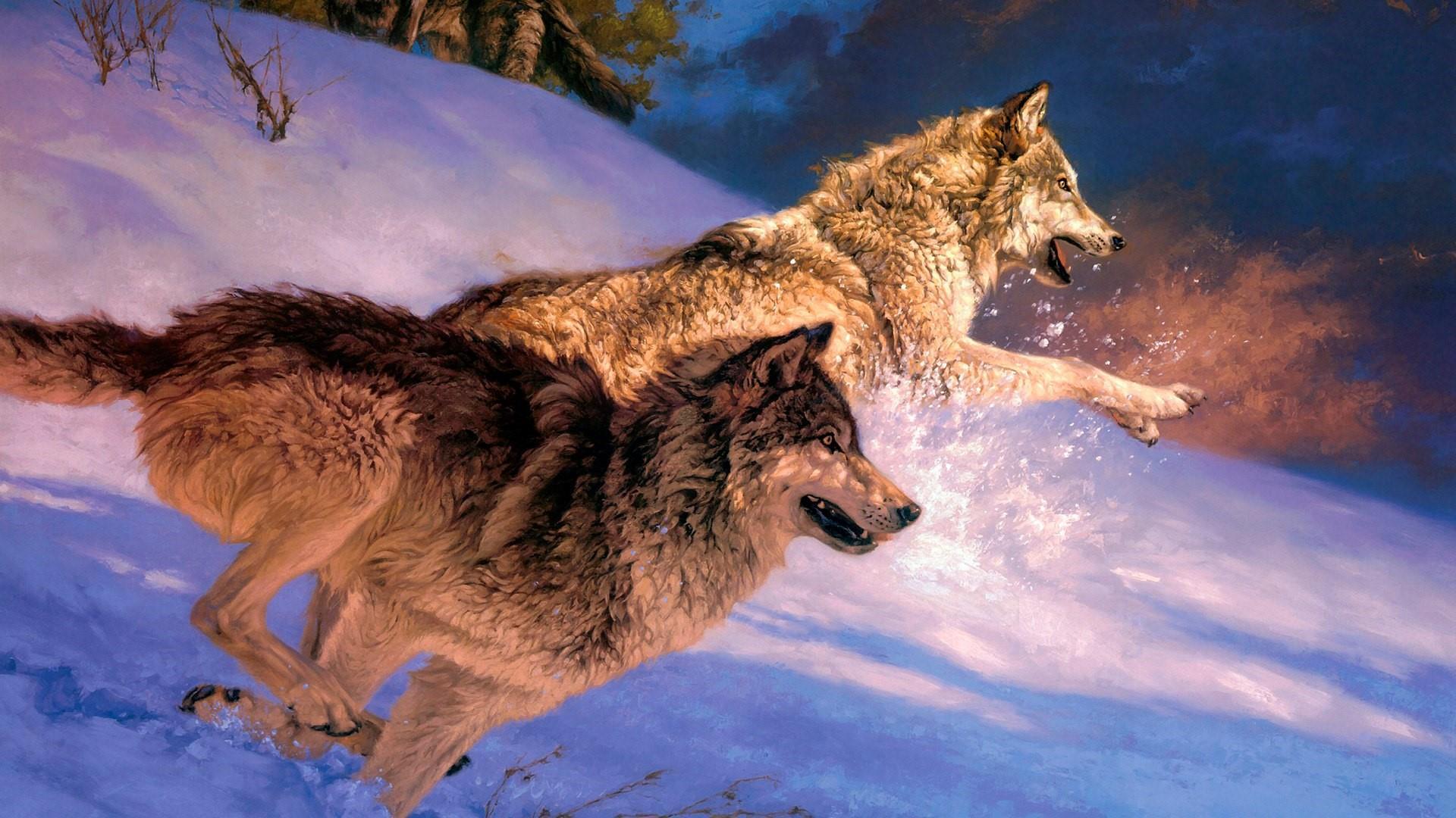Angry Wolf Wallpapers HD - Wallpaper Cave