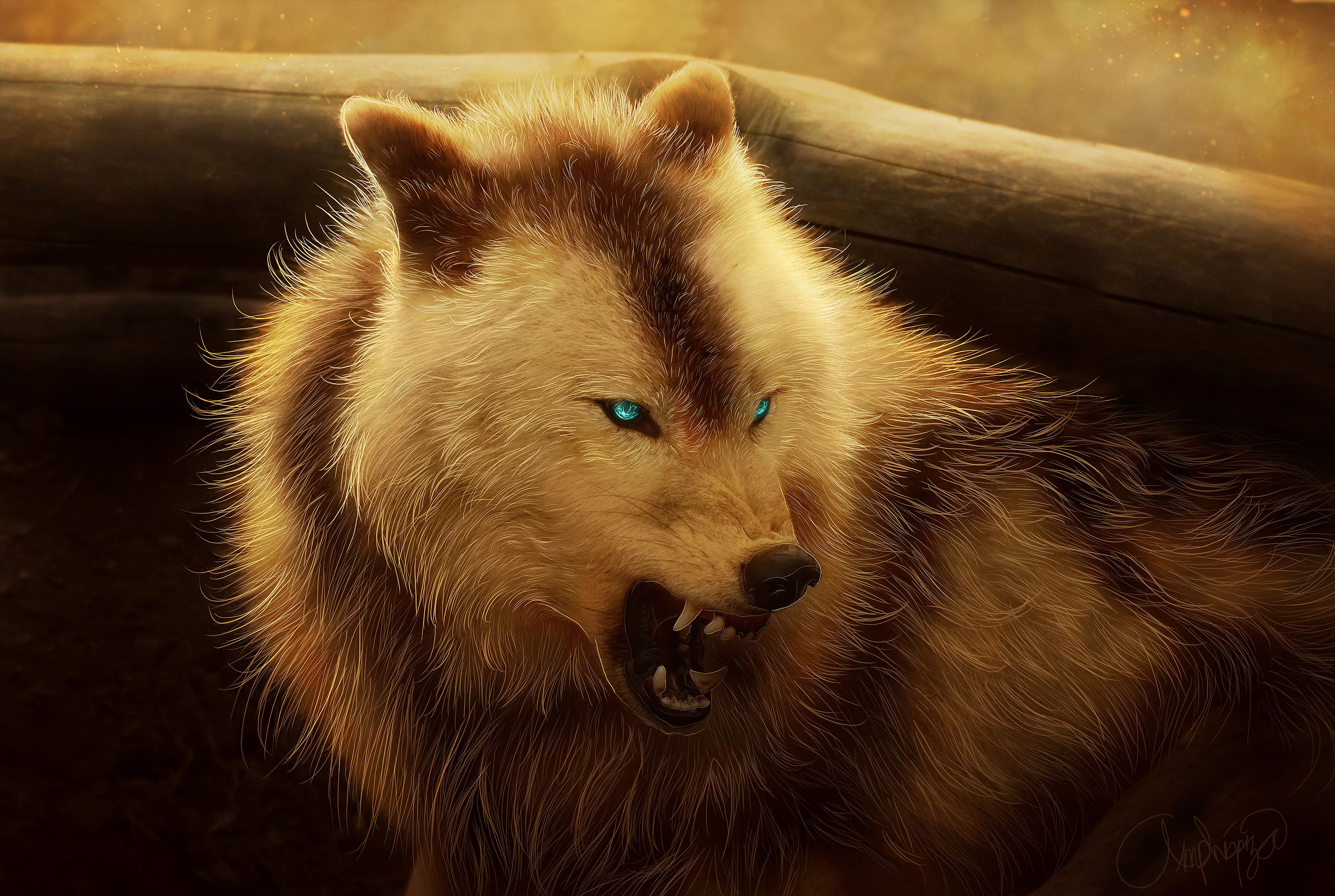 Wallpaper Werewolf, Arctic wolf, Angry, HD, Creative Graphics