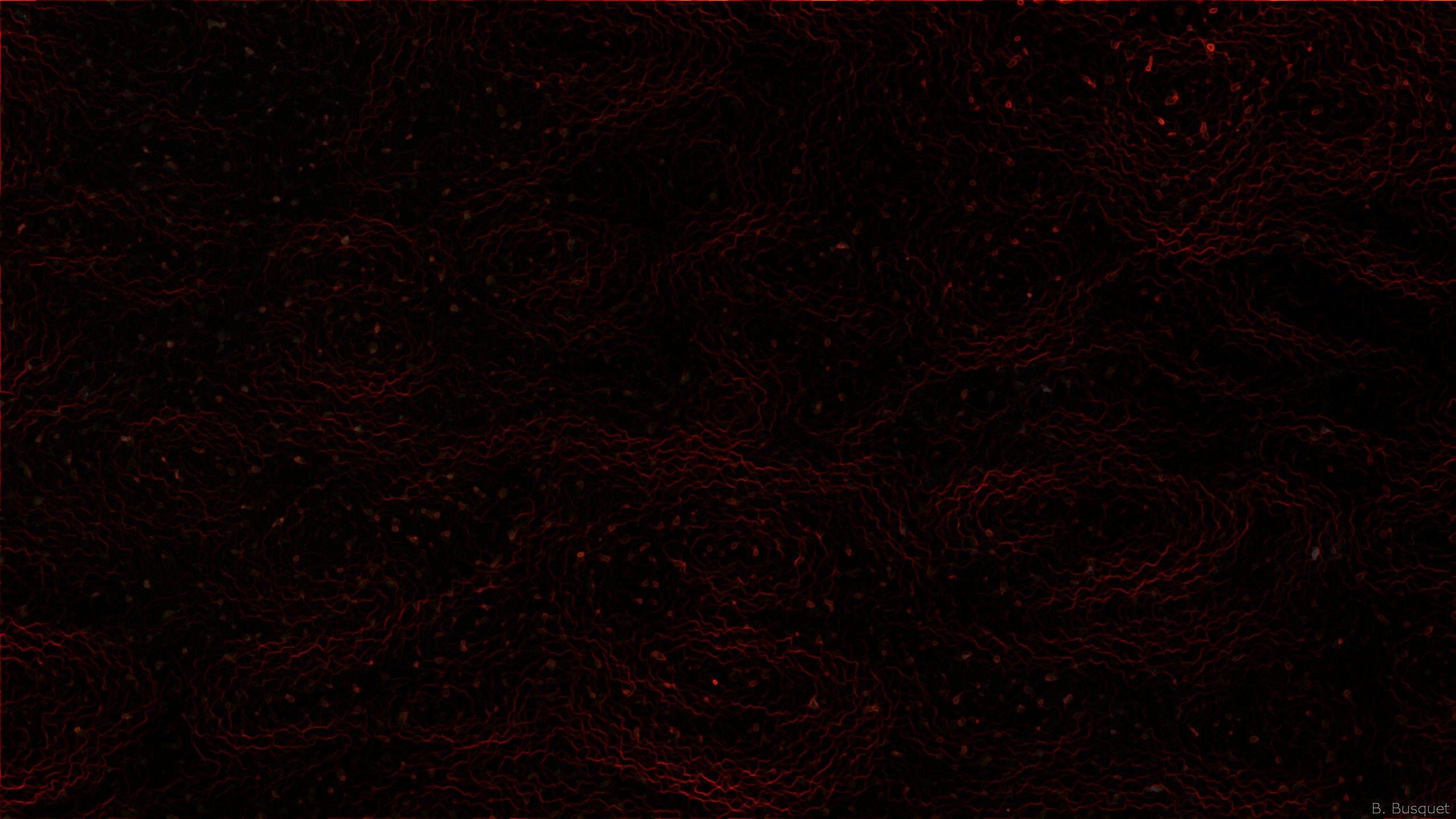 wallpaper with a dark pattern in black and red colors