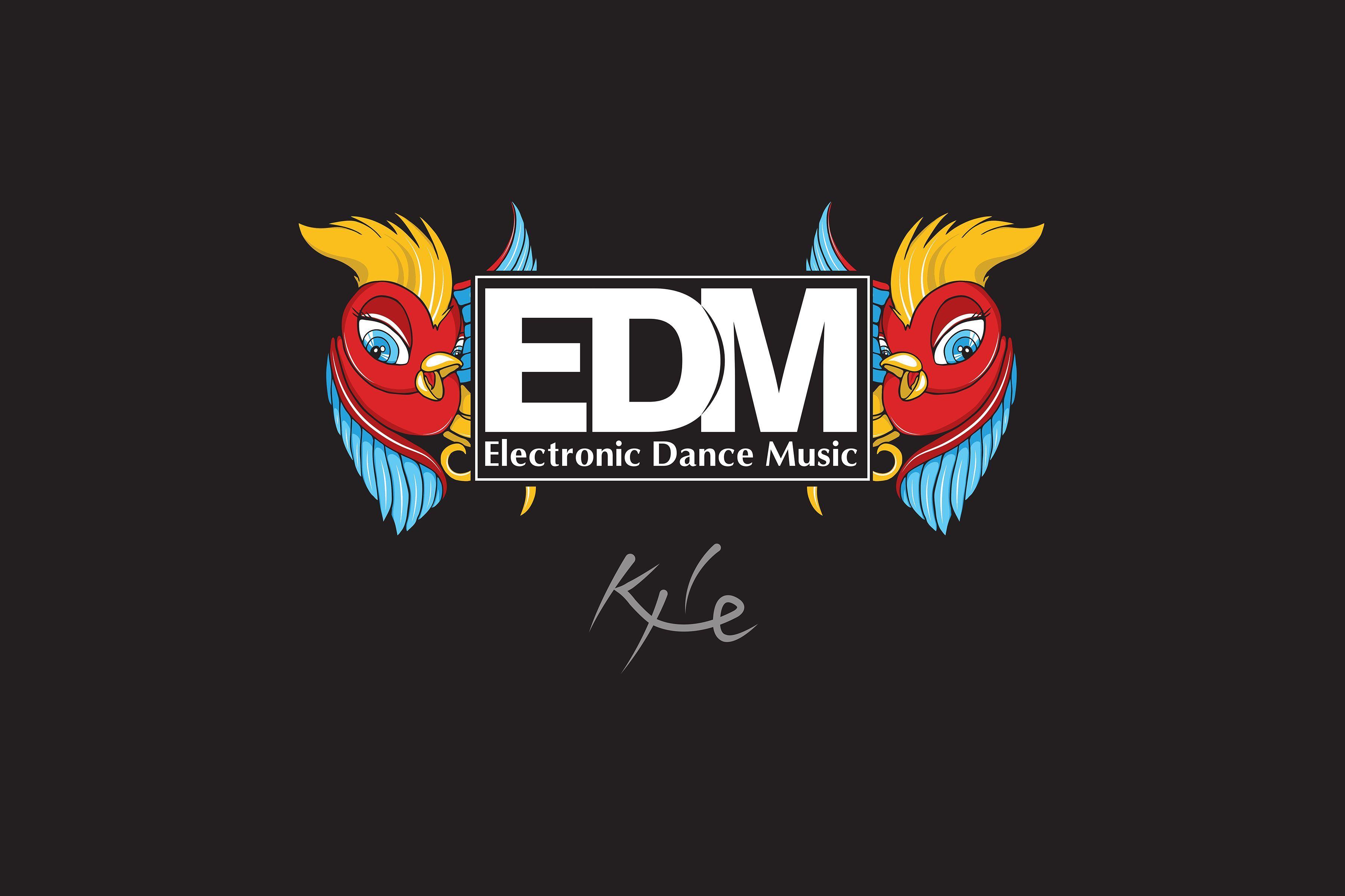 EDM Electronic Dance Music Wallpaper. LEFT OVERS