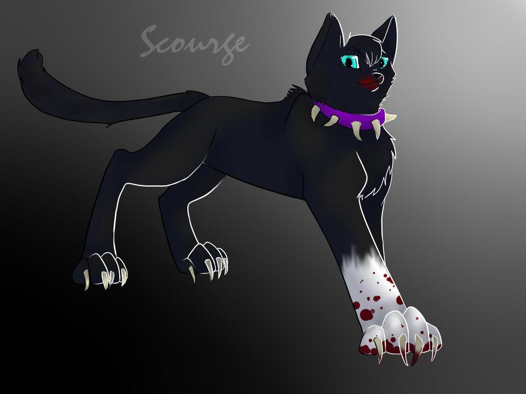 Warrior Cats Wallpapers Scourge Wallpaper Cave