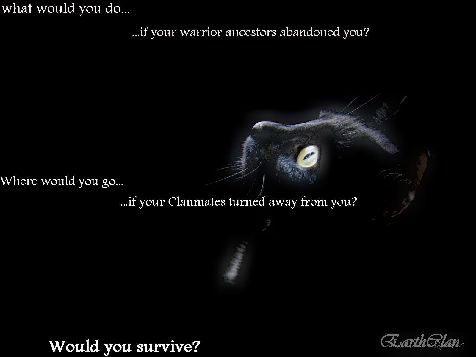 Scourge warrior cats wallpaper by Yuilioness  Download on ZEDGE  3e8a