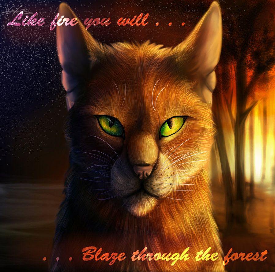 warriors cats wallpaper firestar and sandstorm