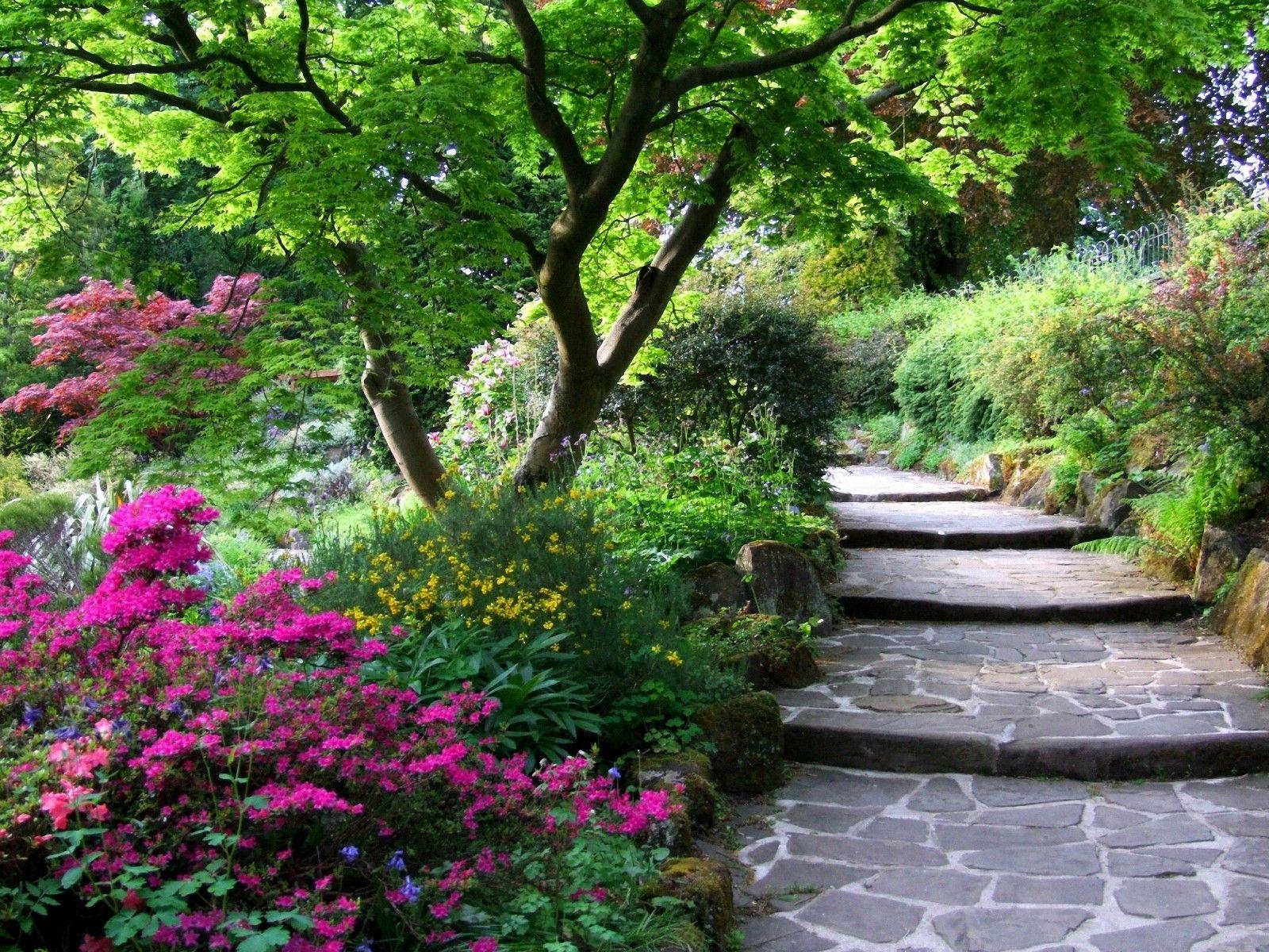 Flowers: Spring Stairs Garden Wallpaper Flower Rose Free Download