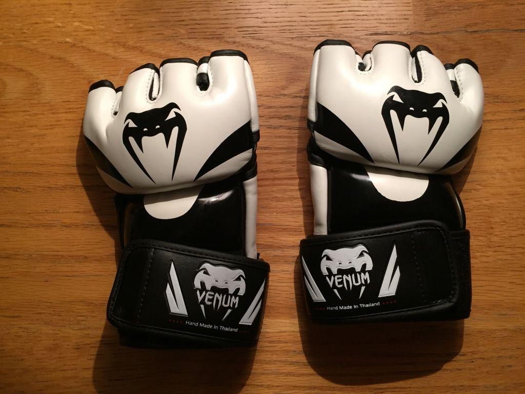 Best MMA Gloves in 2018 of Fit