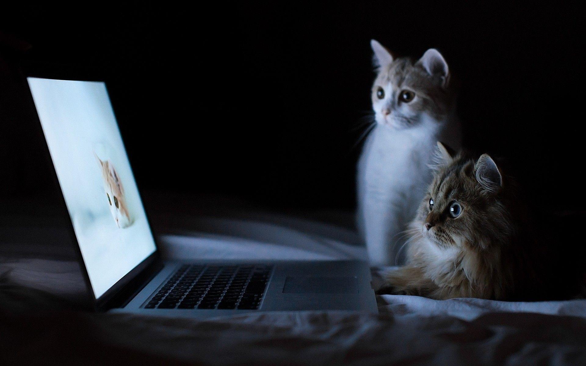 Wallpapers HD Laptop Wallpaper Cave