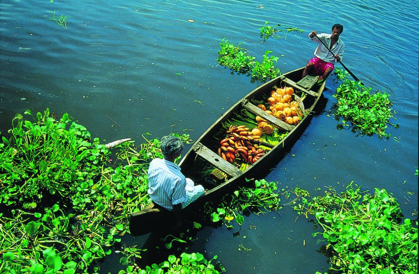 Kerala tourism garners global attention. Media India Group