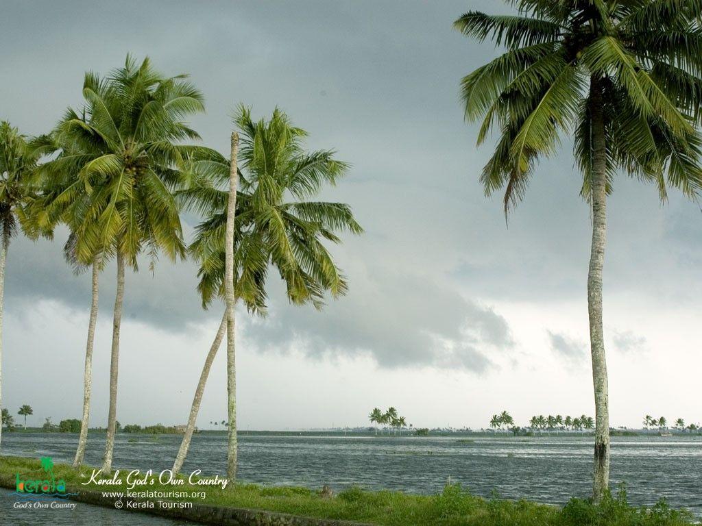 Beach: Tree Cloud Lake Sky Sea Beauty Kerala Wallpaper Beach High