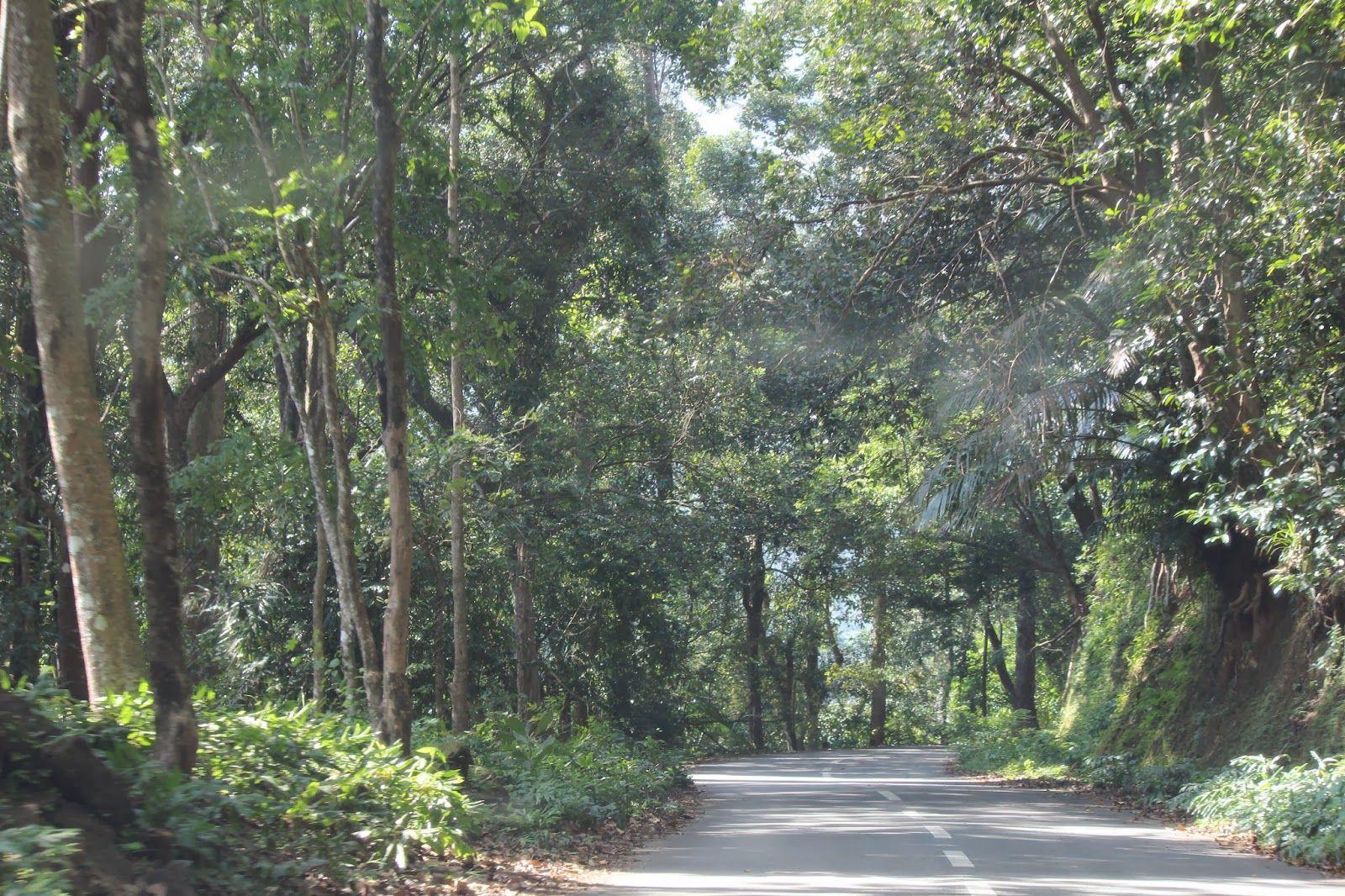 Kerala Tourism Wallpaper And Photo photo download