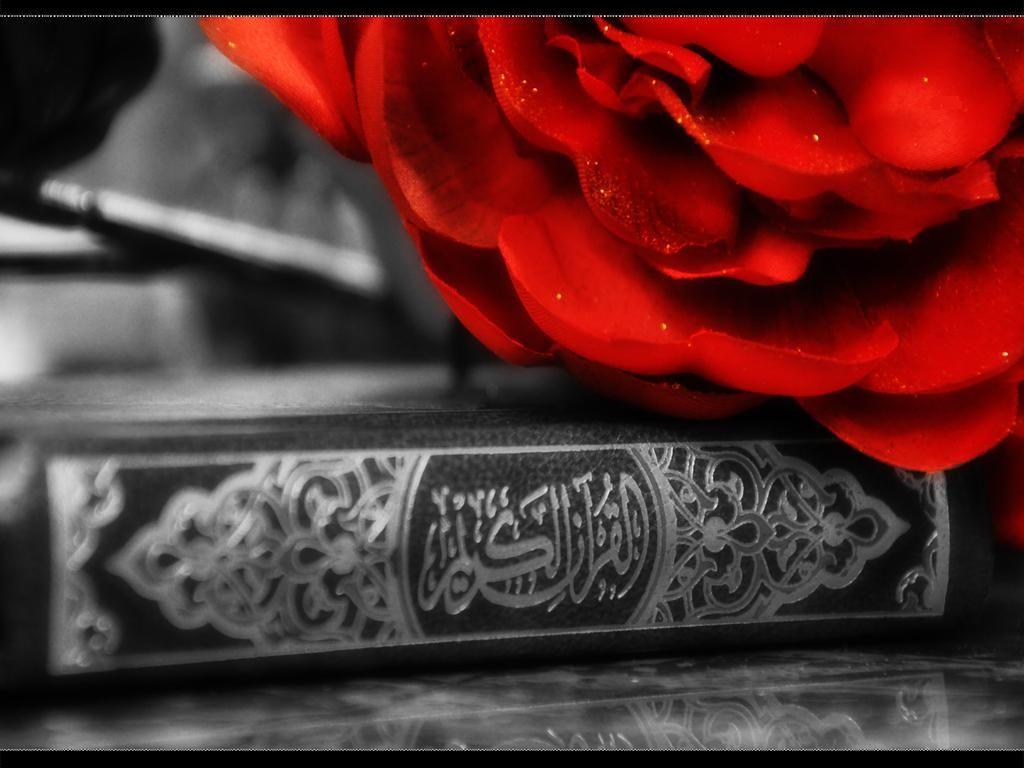 Islamic Wallpaper Quran with Rose and Islamic Laws