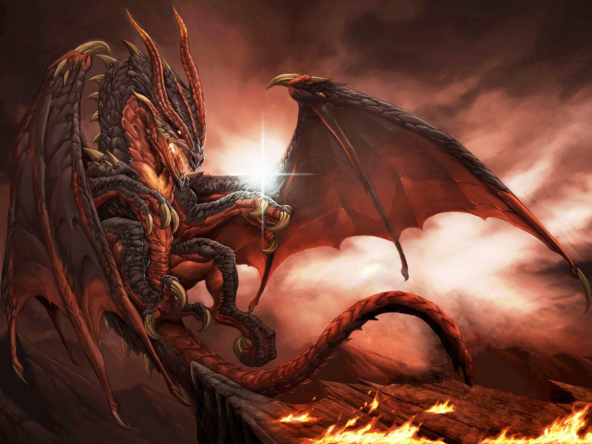 Fire Dragon Wallpaper Quality Image