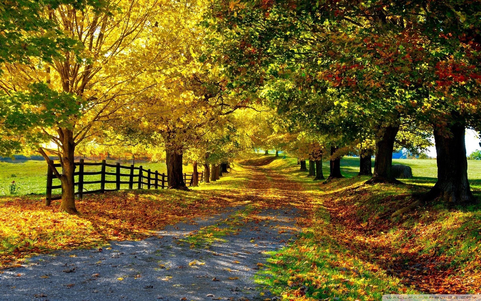 The Most Beautiful Autumn ❤ 4K HD Desktop Wallpaper for 4K Ultra HD