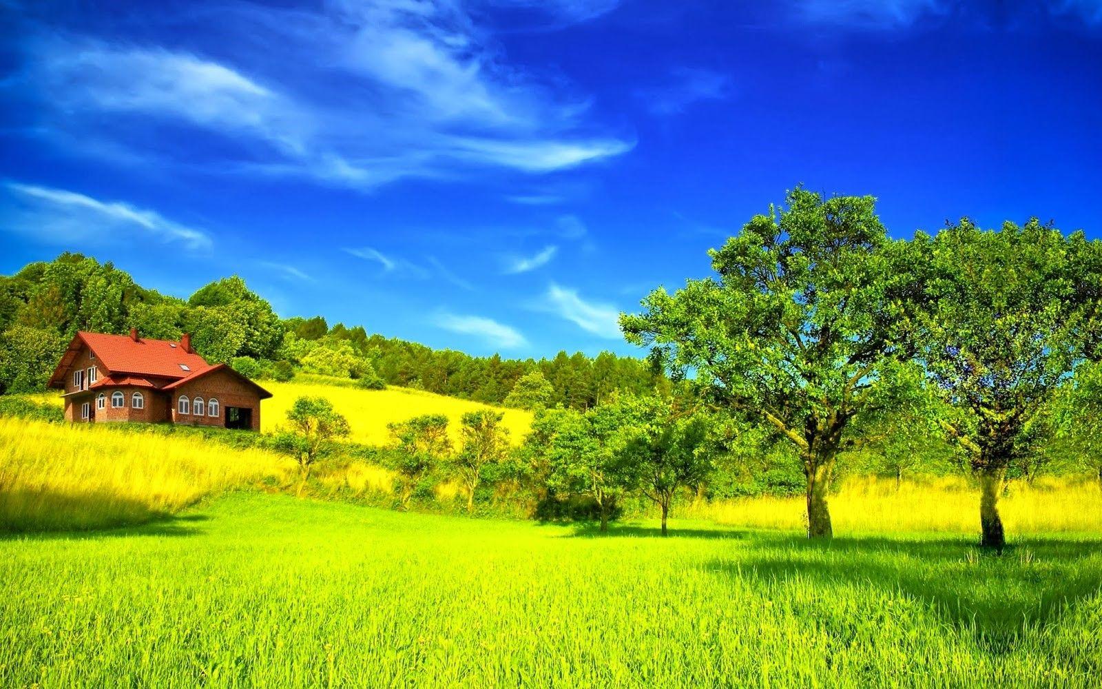 Wallpaper Most Beautiful Green Nature In The World HD On High