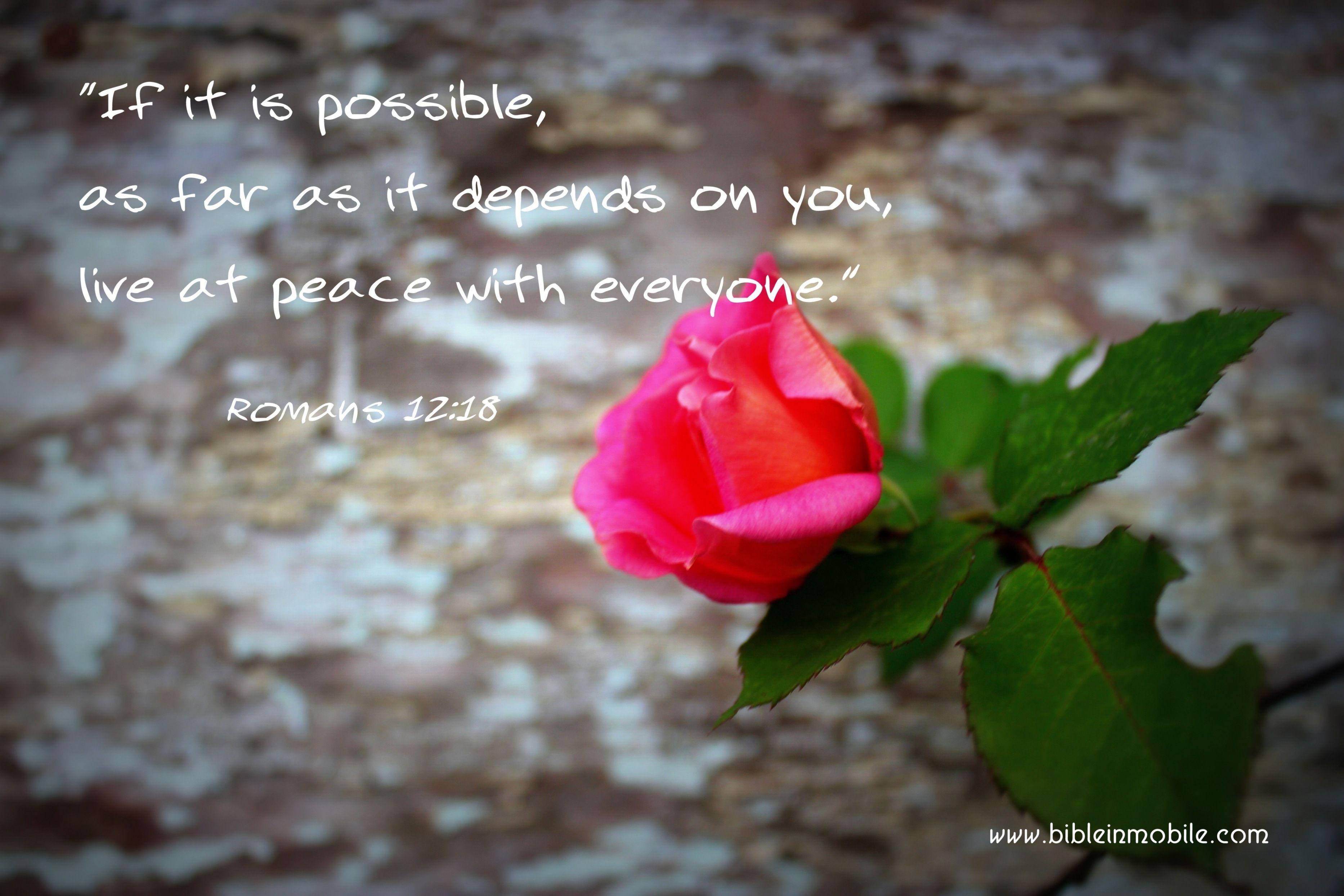 Bible in Mobile: Wallpaper (Bible Verse)