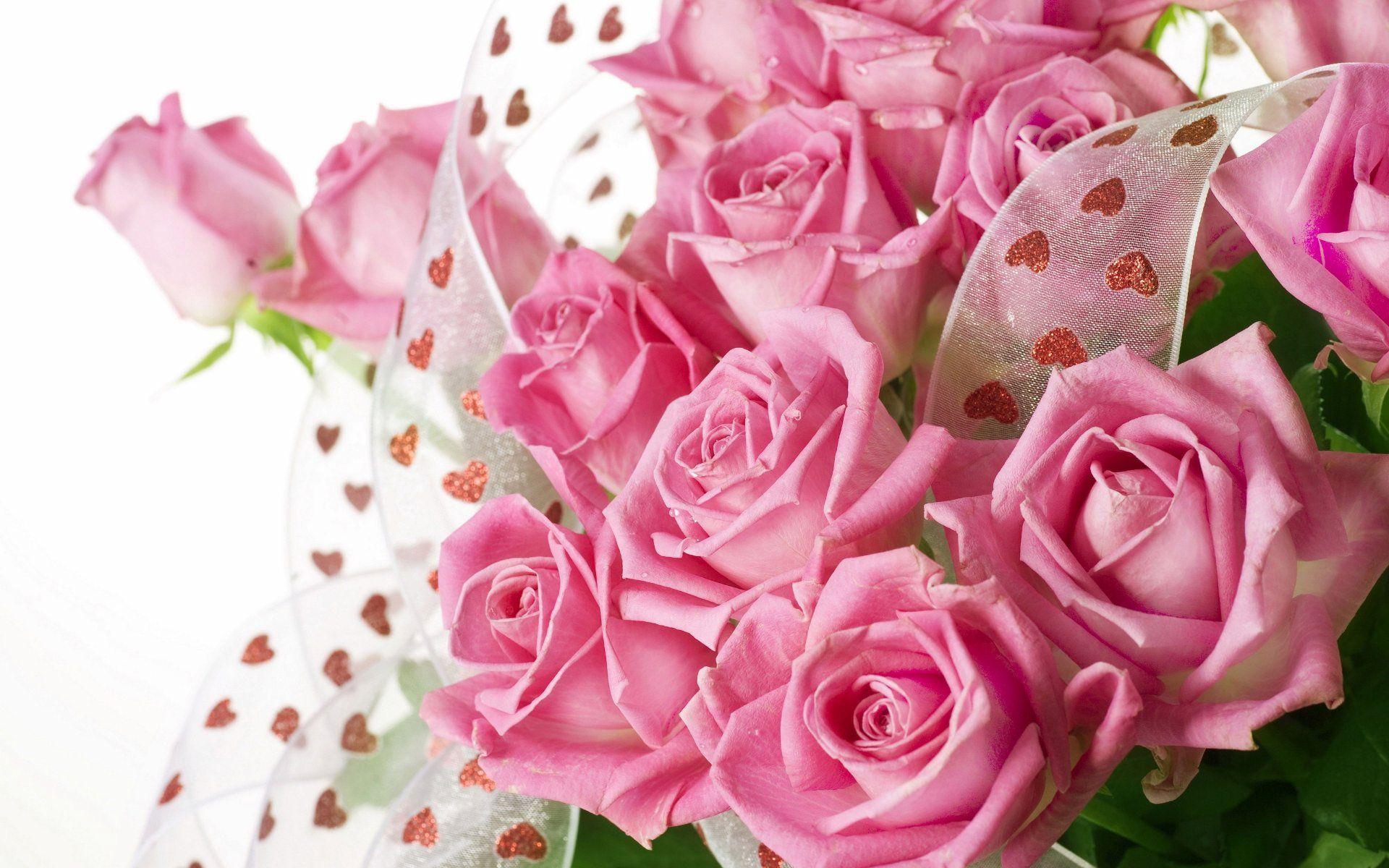 Beautiful Flower Pink Rose Wallpaper. HD Desktop Background