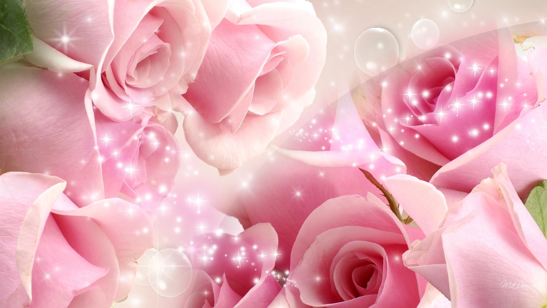 Beautiful Pink Roses Wallpapers For Desktop - Wallpaper Cave